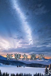 全网首发完整小说妖孽九皇子主角叶辰吕刚在线阅读